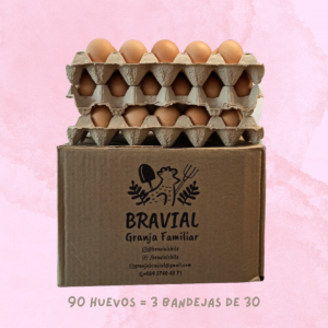 Caja 90 huevos extra