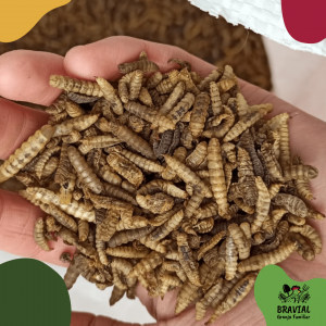 Larvas enteras y secas